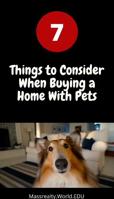 Buying a Home With Pets